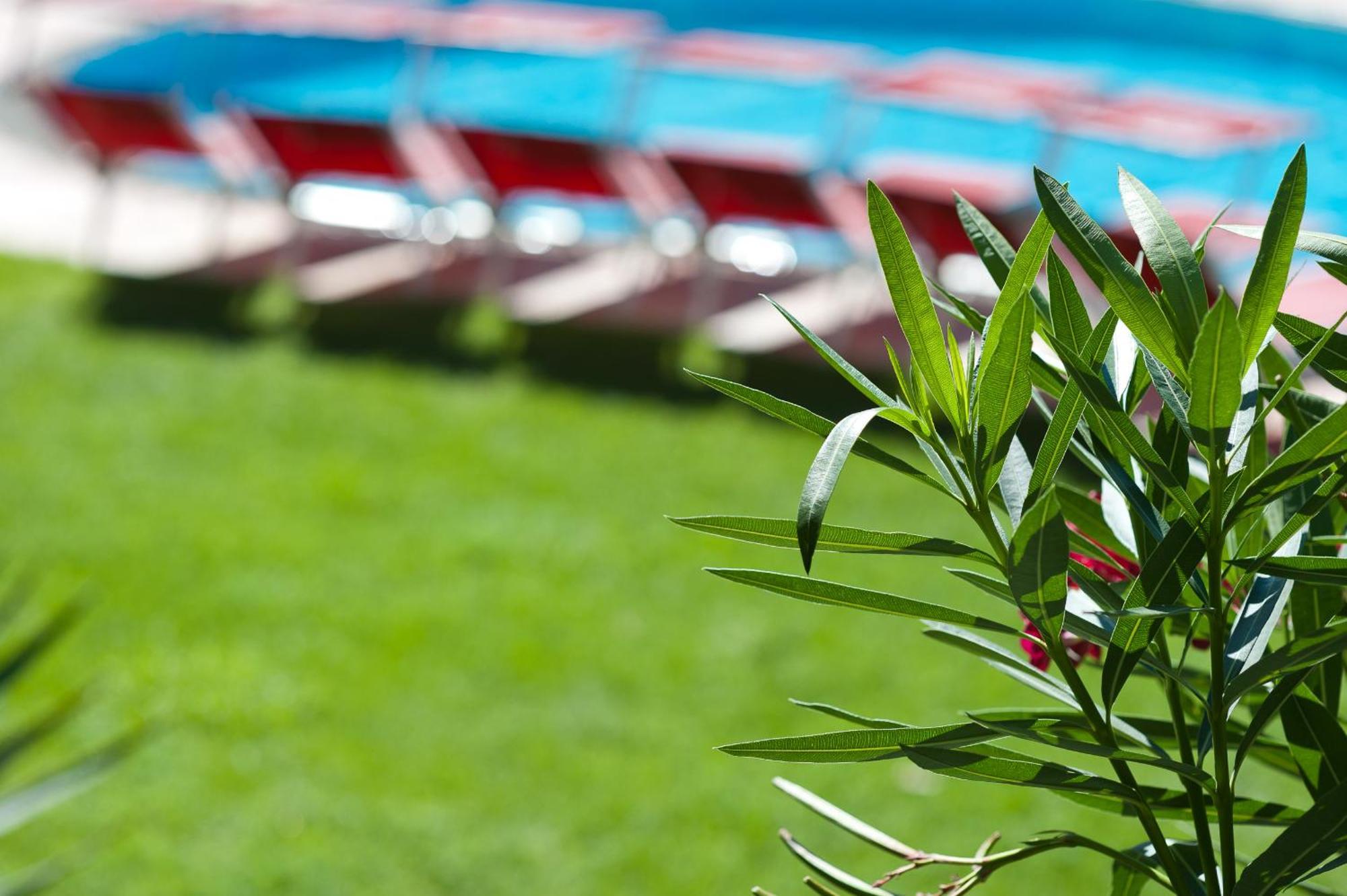 Business Resort Parkhotel Werth Μπολζάνο Εξωτερικό φωτογραφία