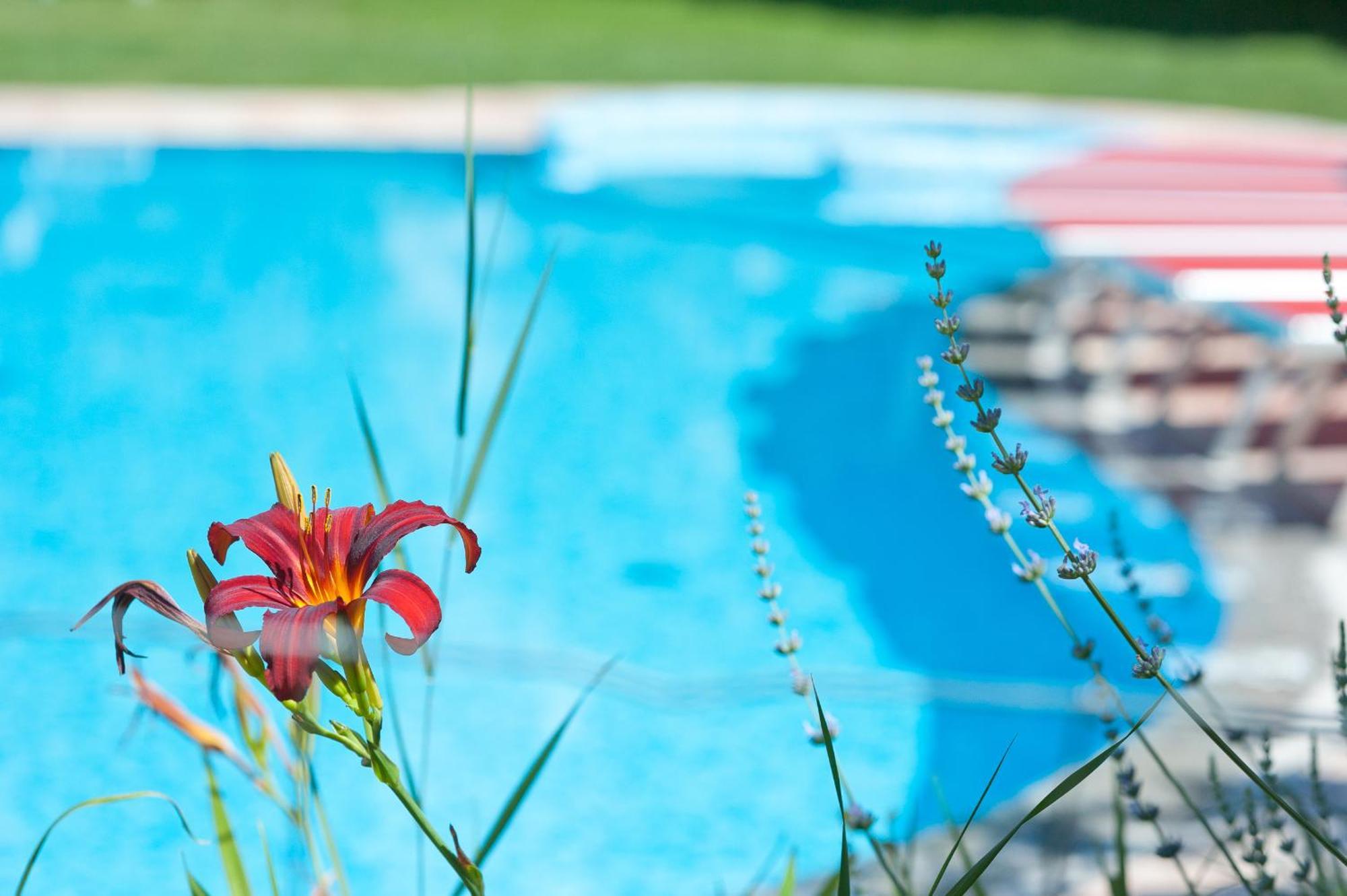 Business Resort Parkhotel Werth Μπολζάνο Εξωτερικό φωτογραφία